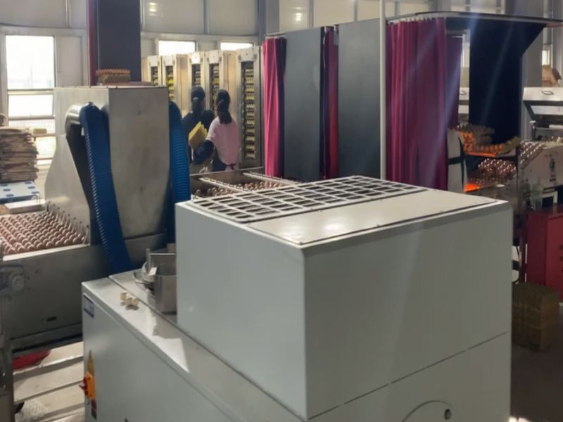 Ϳ͙C(j)6fö/Сr(sh)